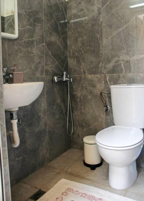 Anesis House Apartment Неос Мармарас Екстериор снимка